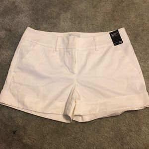 New York & Co White Shorts